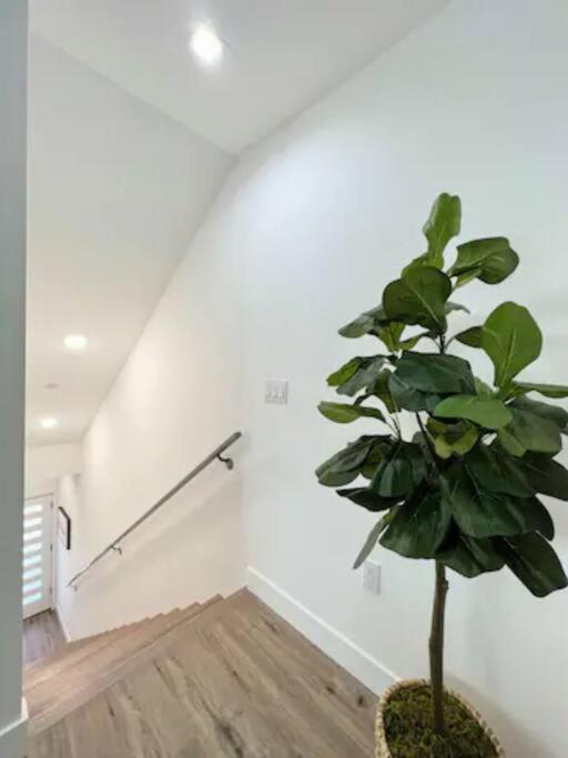 4Br Townhouse In Koreatown Los Angeles Eksteriør billede